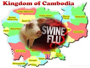 First swine flu confirmed in Cambodia